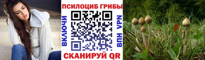Купить  Бабушкин  Галлюциногенные грибы мухоморы 