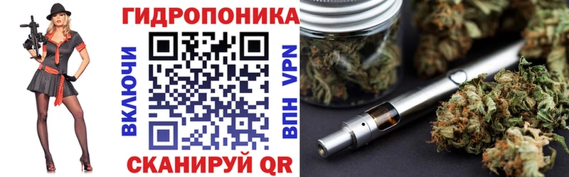 Шишки марихуана Bruce Banner  Купить закладки  Бабушкин 